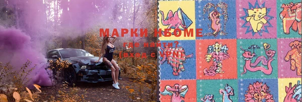 ПСИЛОЦИБИНОВЫЕ ГРИБЫ Алзамай