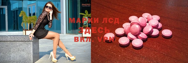 ПСИЛОЦИБИНОВЫЕ ГРИБЫ Алзамай