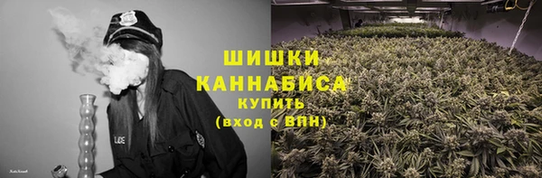 шишки Алексеевка
