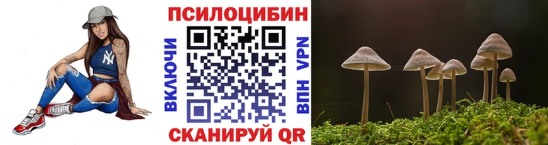 дарнет шоп  Гвардейск  Псилоцибиновые грибы Psilocybine cubensis 